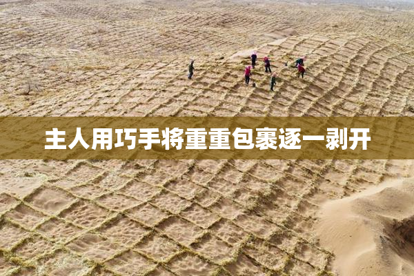 主人用巧手将重重包裹逐一剥开