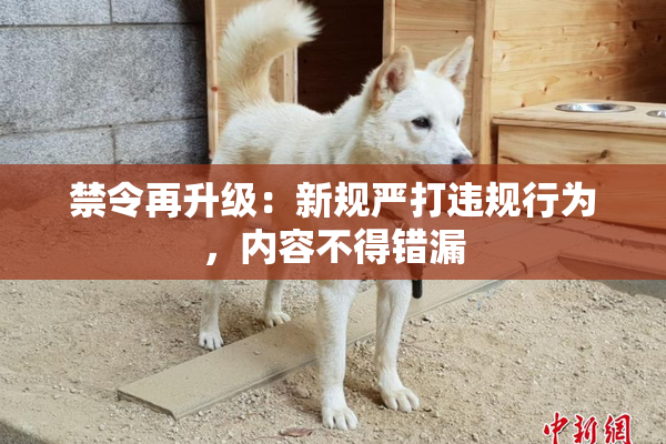 禁令再升级：新规严打违规行为，内容不得错漏