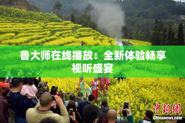 鲁大师在线播放：全新体验畅享视听盛宴
