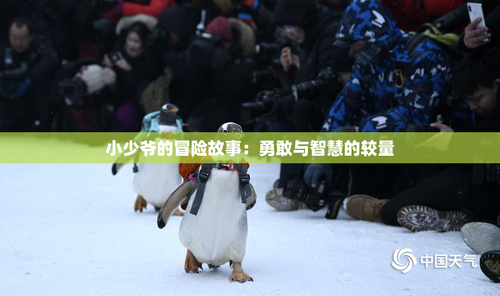 小少爷的冒险故事：勇敢与智慧的较量
