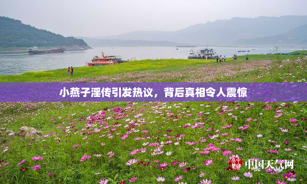 小燕子淫传引发热议，背后真相令人震惊