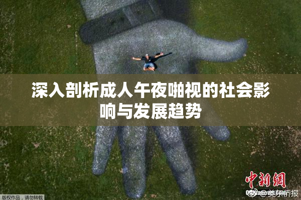 深入剖析成人午夜啪视的社会影响与发展趋势