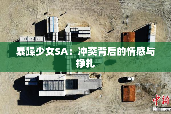 暴躁少女SA：冲突背后的情感与挣扎