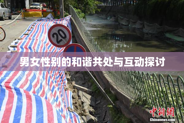 男女性别的和谐共处与互动探讨