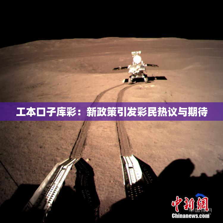 工本口子库彩：新政策引发彩民热议与期待
