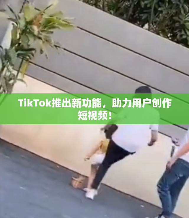 TikTok推出新功能，助力用户创作短视频！