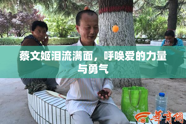 蔡文姬泪流满面，呼唤爱的力量与勇气