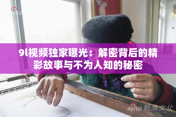 9l视频独家曝光：解密背后的精彩故事与不为人知的秘密