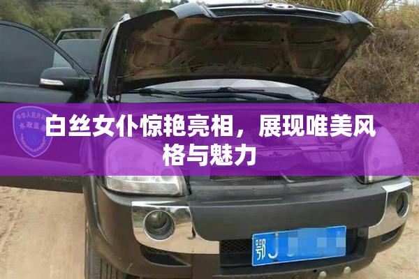 白丝女仆惊艳亮相，展现唯美风格与魅力