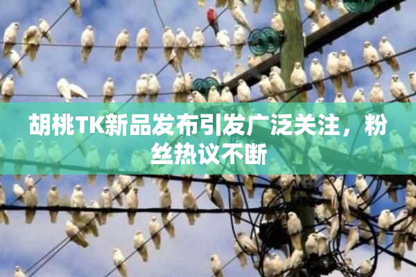 胡桃TK新品发布引发广泛关注，粉丝热议不断