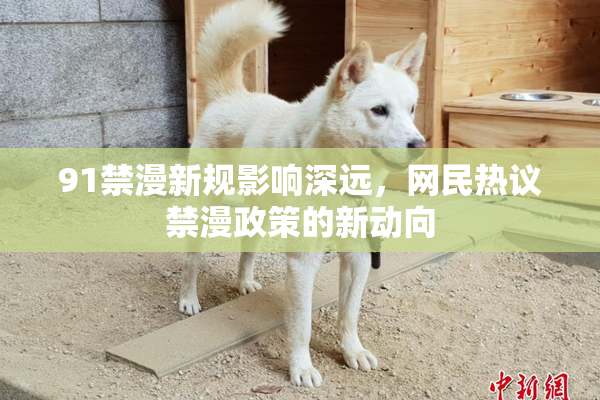 91禁漫新规影响深远，网民热议禁漫政策的新动向