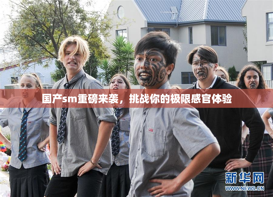 国产sm重磅来袭，挑战你的极限感官体验