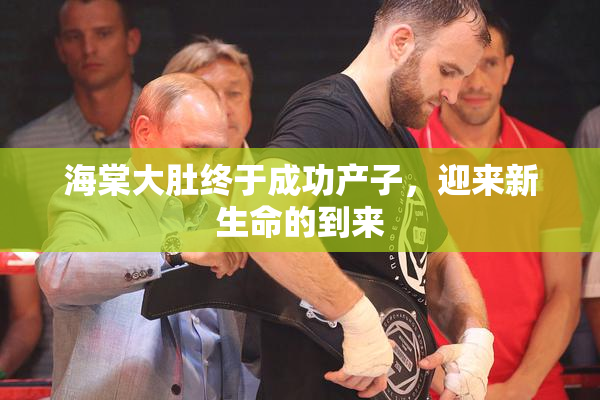 海棠大肚终于成功产子，迎来新生命的到来