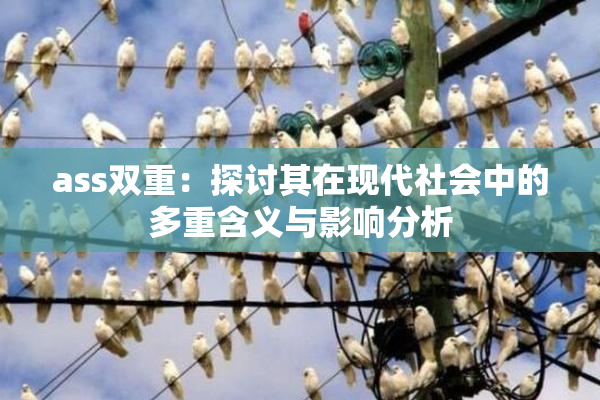 ass双重：探讨其在现代社会中的多重含义与影响分析