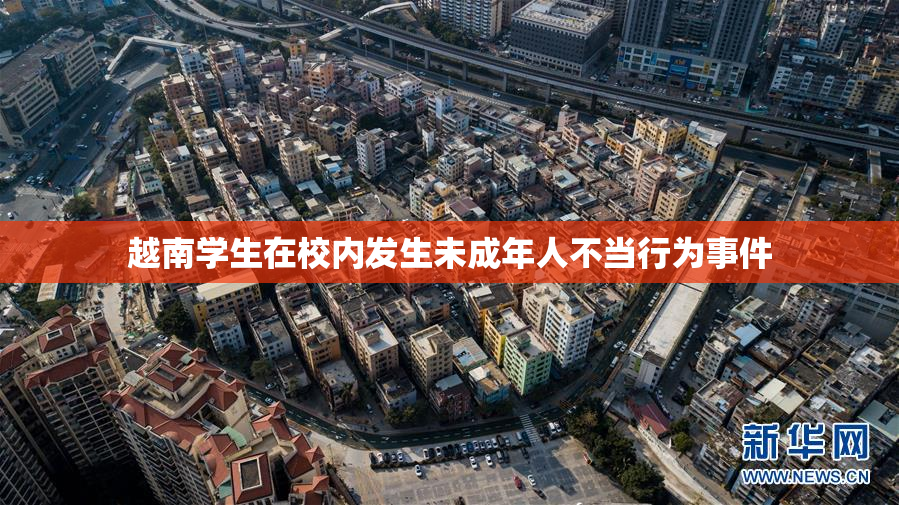越南学生在校内发生未成年人不当行为事件