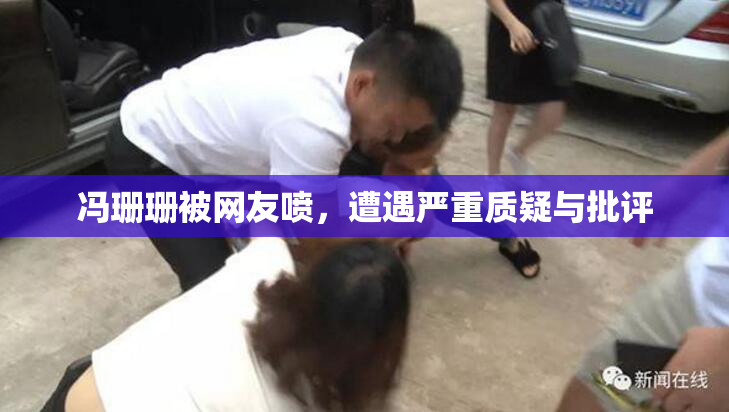 冯珊珊被网友喷，遭遇严重质疑与批评