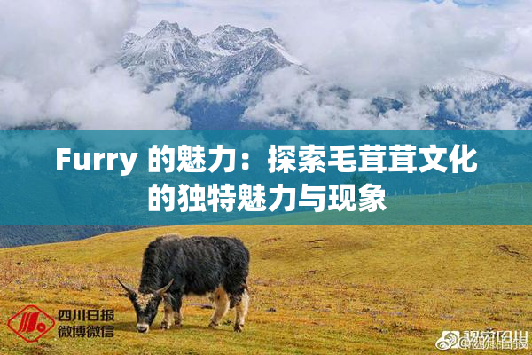 Furry 的魅力：探索毛茸茸文化的独特魅力与现象