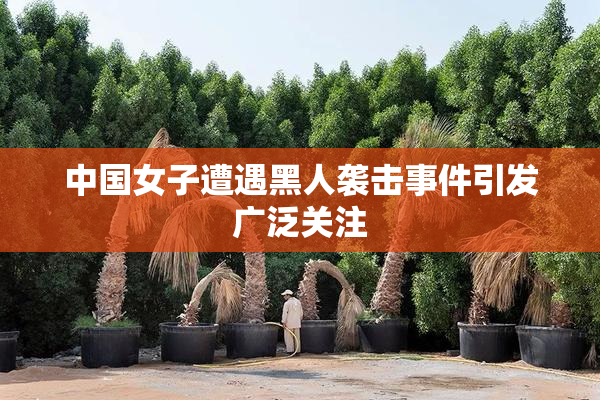 中国女子遭遇黑人袭击事件引发广泛关注