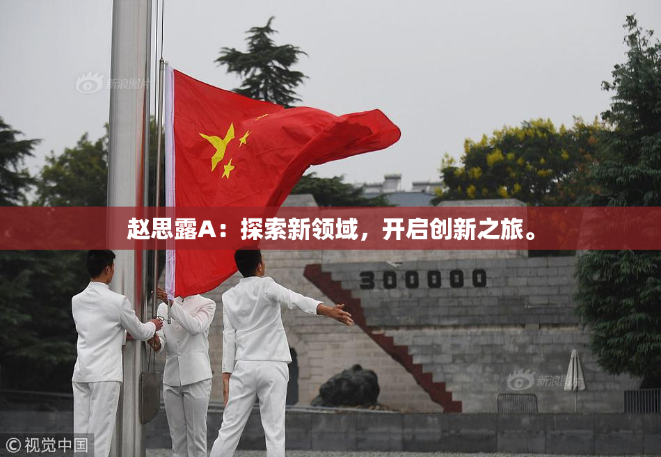 赵思露A：探索新领域，开启创新之旅。