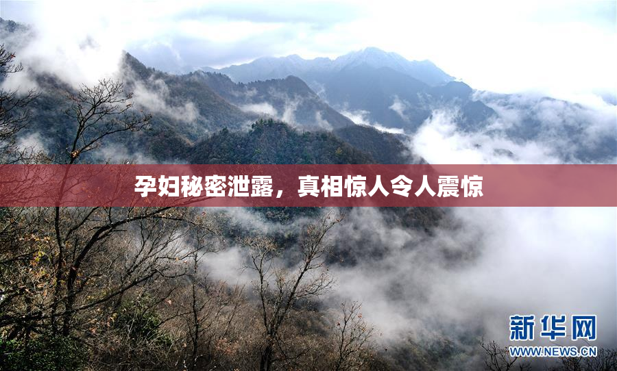 孕妇秘密泄露，真相惊人令人震惊
