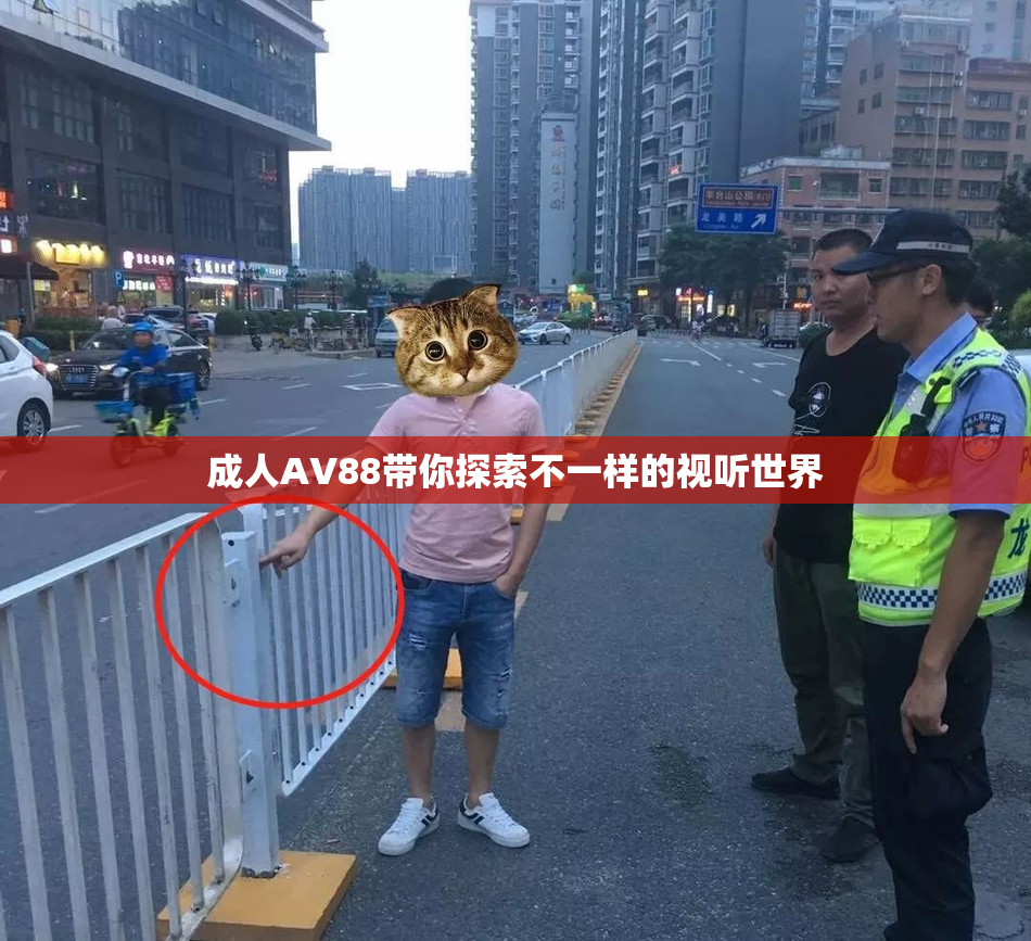 成人AV88带你探索不一样的视听世界