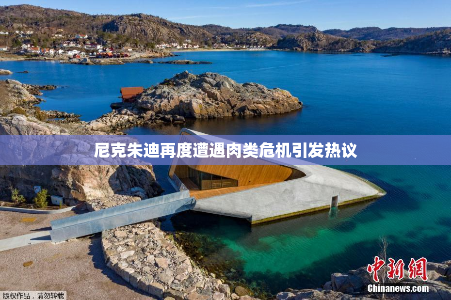 尼克朱迪再度遭遇肉类危机引发热议