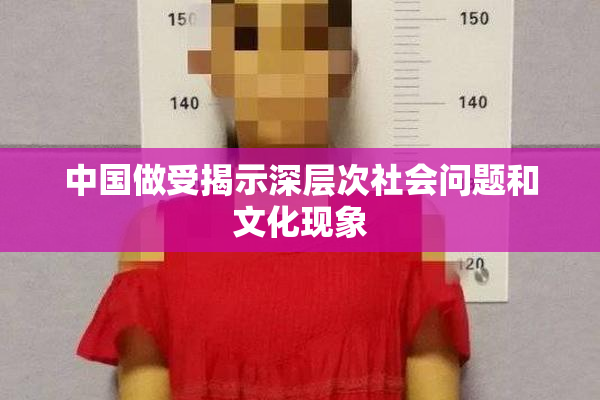 中国做受揭示深层次社会问题和文化现象
