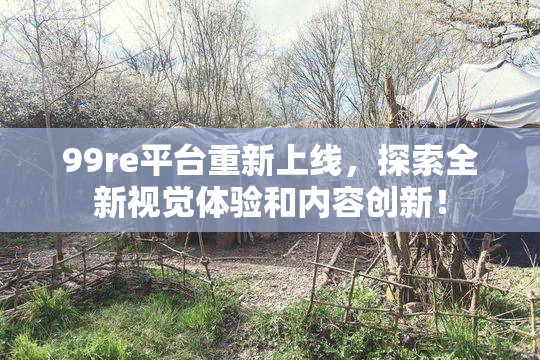 99re平台重新上线，探索全新视觉体验和内容创新！