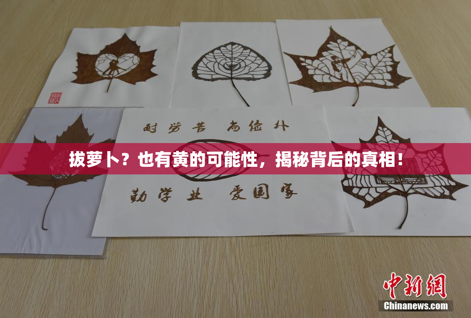 拔萝卜？也有黄的可能性，揭秘背后的真相！