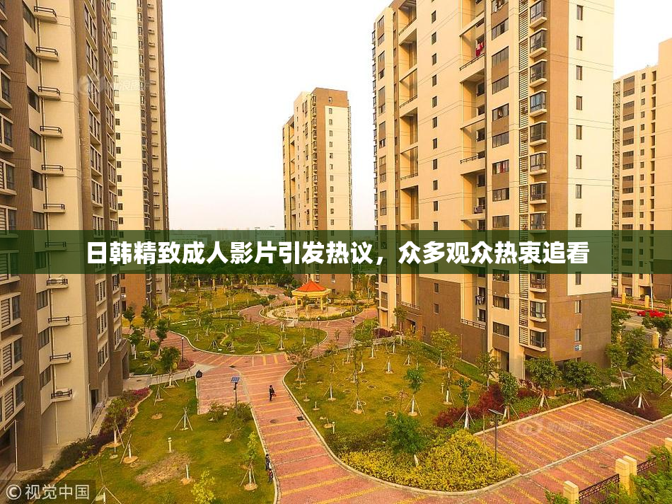 日韩精致成人影片引发热议，众多观众热衷追看