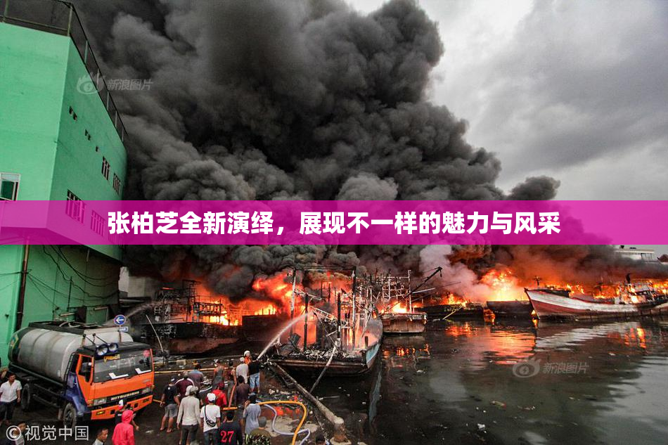 张柏芝全新演绎，展现不一样的魅力与风采
