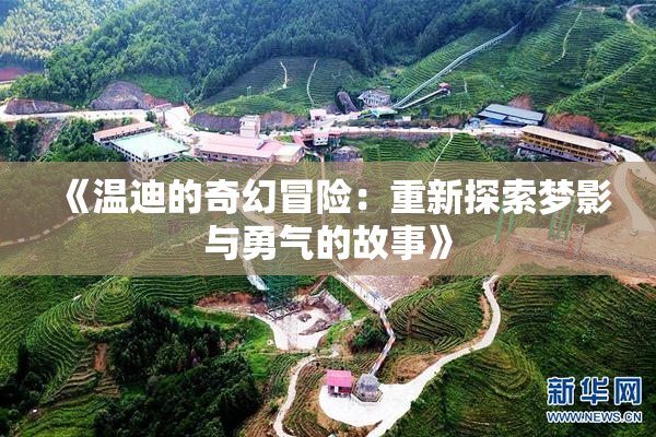 《温迪的奇幻冒险：重新探索梦影与勇气的故事》