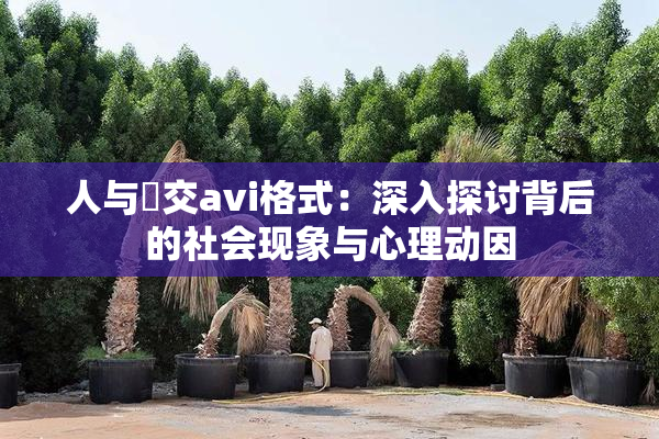 人与嘼交avi格式：深入探讨背后的社会现象与心理动因