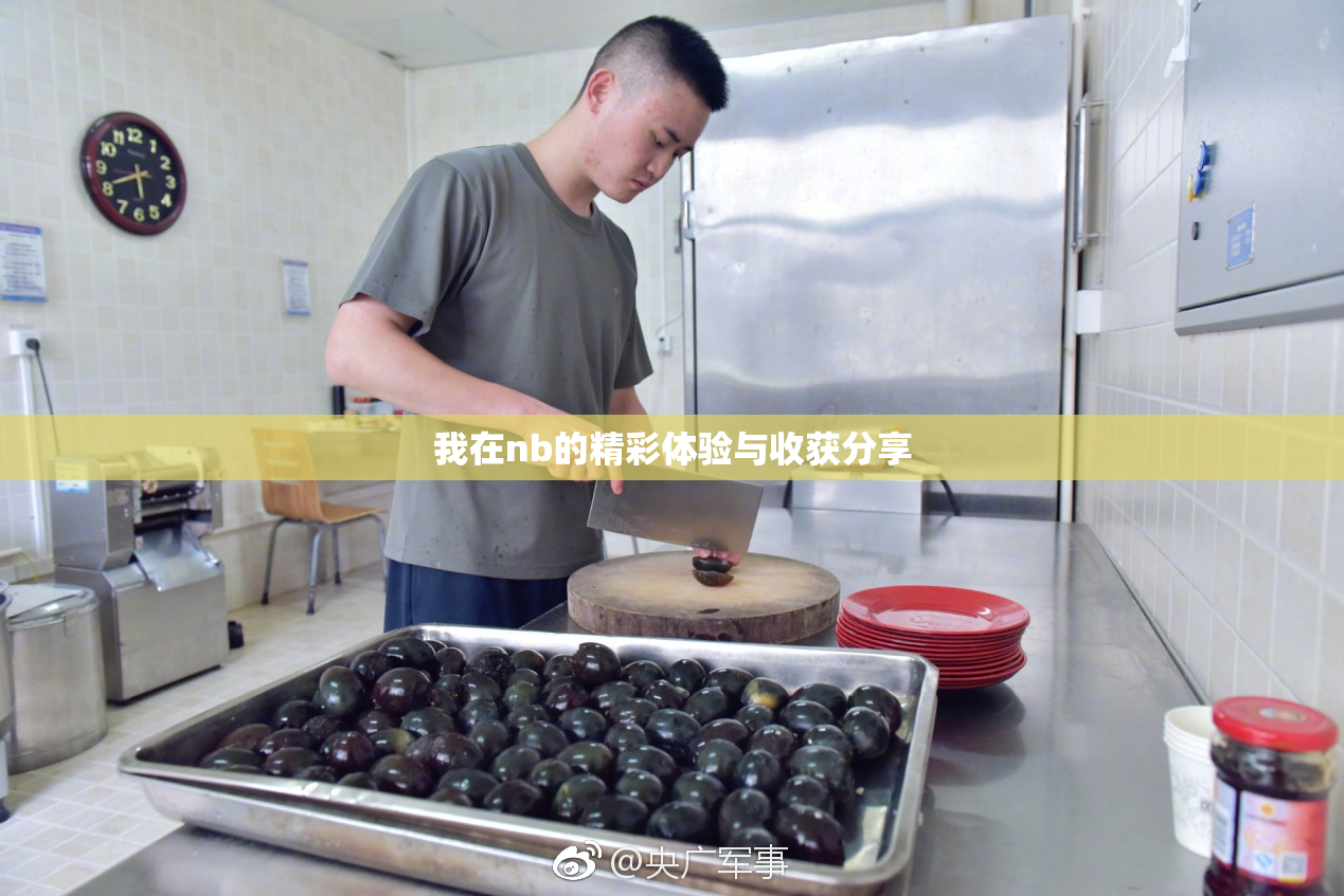 我在nb的精彩体验与收获分享