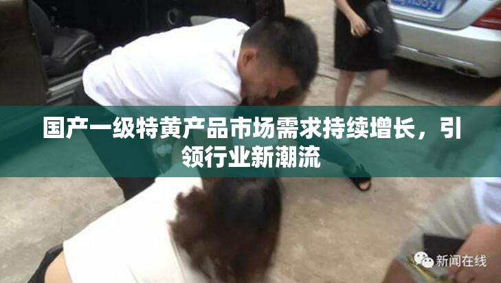 国产一级特黄产品市场需求持续增长，引领行业新潮流