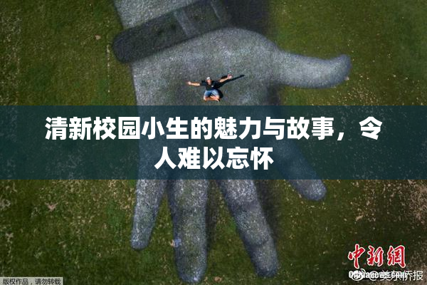 清新校园小生的魅力与故事，令人难以忘怀