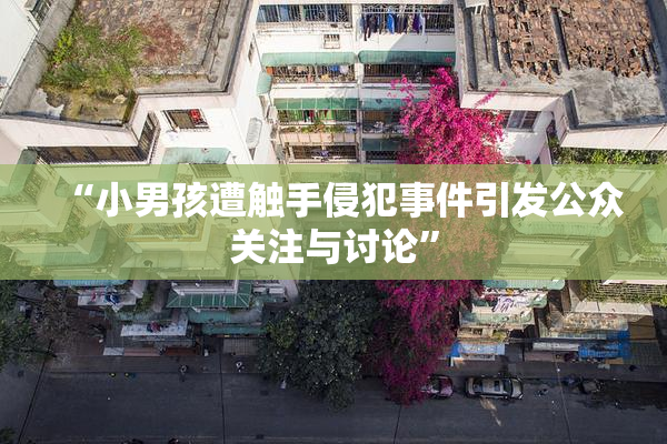 “小男孩遭触手侵犯事件引发公众关注与讨论”