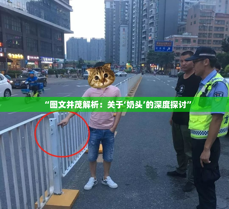 “图文并茂解析：关于‘奶头’的深度探讨”