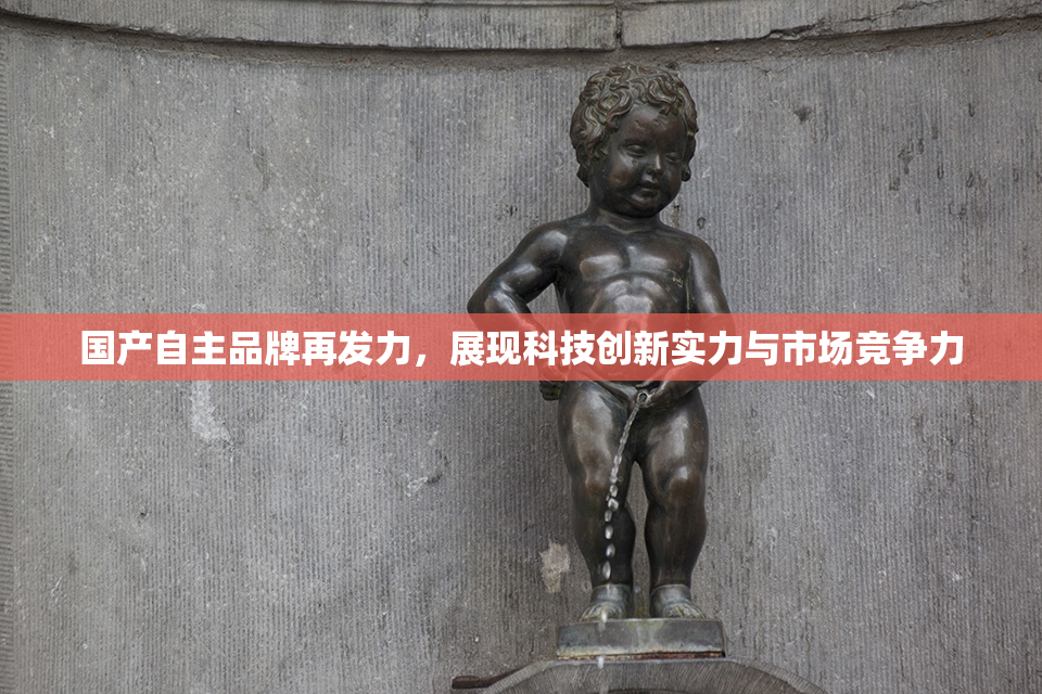 国产自主品牌再发力，展现科技创新实力与市场竞争力
