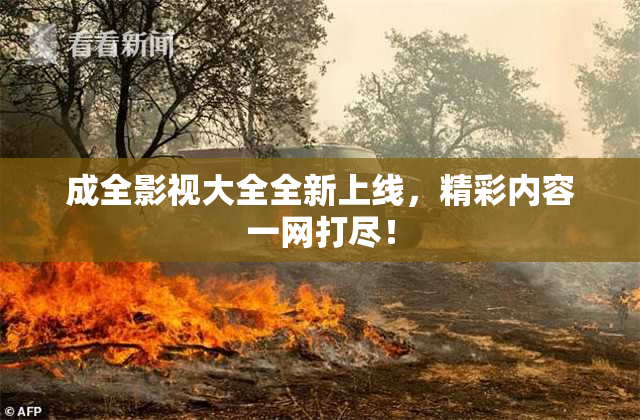 成全影视大全全新上线，精彩内容一网打尽！