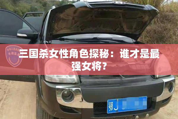 三国杀女性角色探秘：谁才是最强女将？