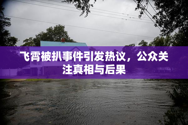 飞霄被扒事件引发热议，公众关注真相与后果