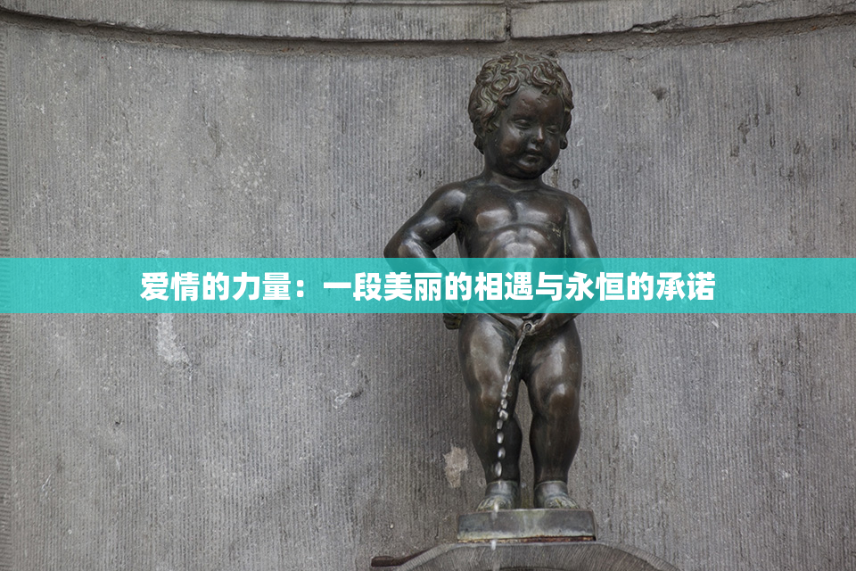 爱情的力量：一段美丽的相遇与永恒的承诺