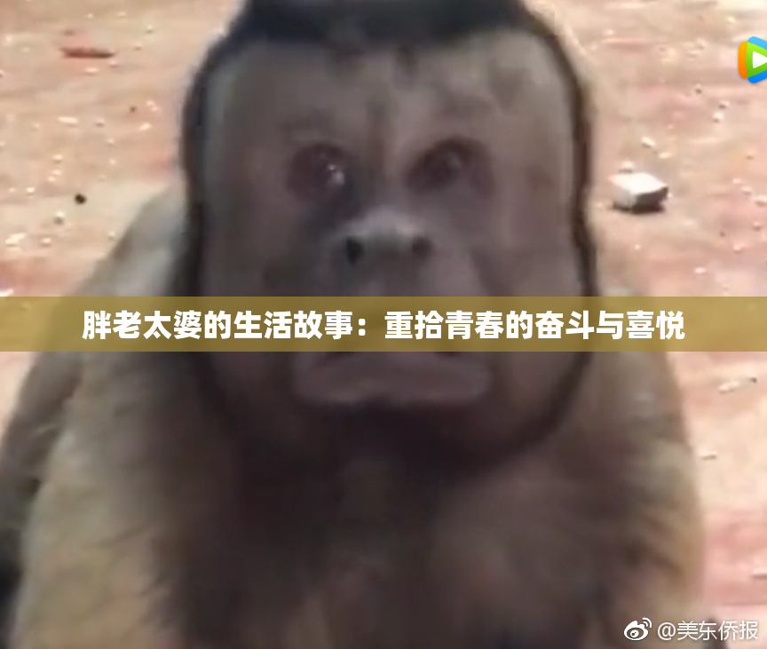 胖老太婆的生活故事：重拾青春的奋斗与喜悦