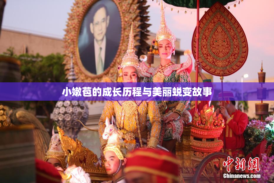 小嫩苞的成长历程与美丽蜕变故事