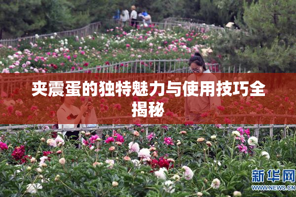 夹震蛋的独特魅力与使用技巧全揭秘