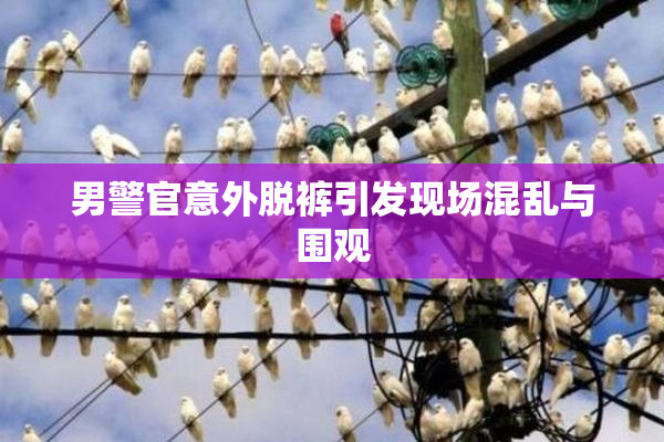 男警官意外脱裤引发现场混乱与围观