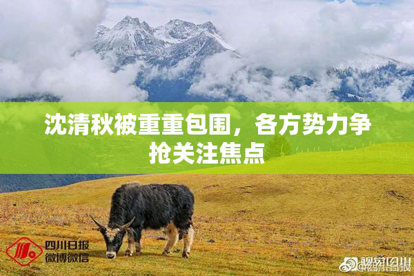 沈清秋被重重包围，各方势力争抢关注焦点