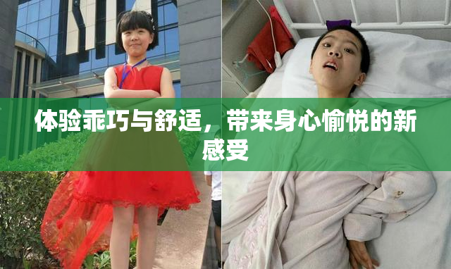 体验乖巧与舒适，带来身心愉悦的新感受