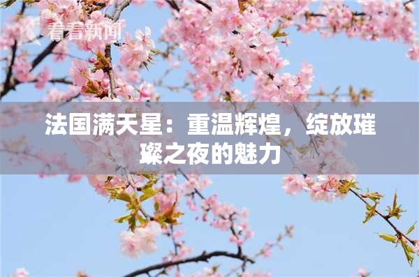 法国满天星：重温辉煌，绽放璀璨之夜的魅力